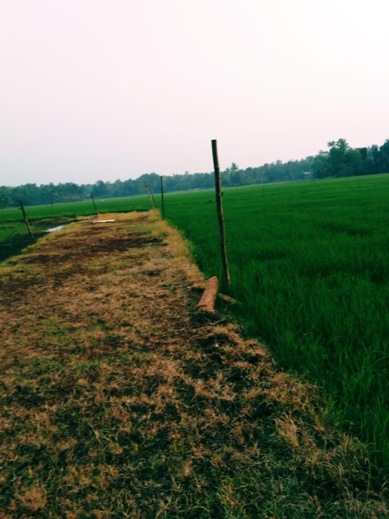 Thomman'S Farm Stay Kottayam Exterior photo