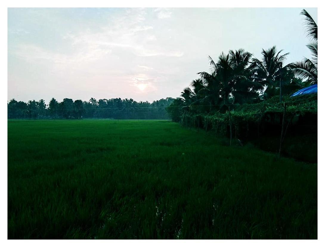 Thomman'S Farm Stay Kottayam Exterior photo